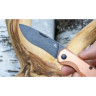 Нож FOX KNIVES CIOL FBF-748 CR